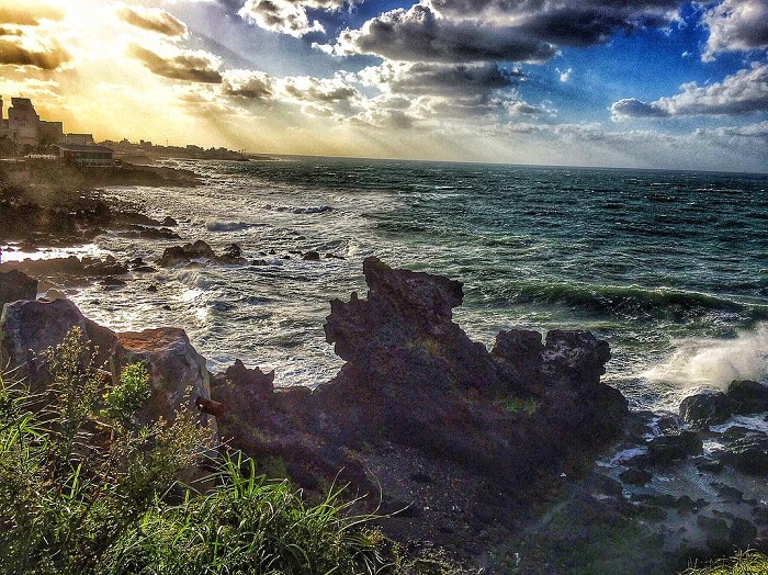 Bãi đá đầu rồng Young Duam Rock